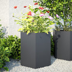 Garden Planters 2 pcs Anthracite Hexagon 46x40x45 cm Steel