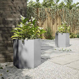 Garden Planters 2 pcs Hexagon 46x40x45 cm Galvanized Steel - Top-Down View