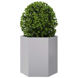Garden Planters 2 pcs Hexagon 46x40x45 cm Galvanized Steel - 45-Degree Angle