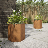 Garden Planters 2 pcs Hexagon 46x40x45 cm Weathering Steel - Top-Down View