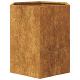 Garden Planters 2 pcs Hexagon 46x40x45 cm Weathering Steel