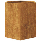 Garden Planters 2 pcs Hexagon 46x40x45 cm Weathering Steel - Low Angle