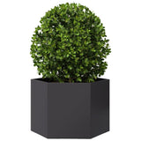 Garden Planter Black Hexagon 69x60x45 cm Steel - Side View