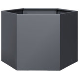 Garden Planter Anthracite Hexagon 69x60x45 cm Steel - Front View