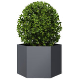 Garden Planter Anthracite Hexagon 69x60x45 cm Steel - Side View