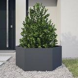 Garden Planter Anthracite Hexagon 104x90x45 cm Steel - Front View