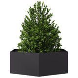 Garden Planter Black Hexagon 138x120x45 cm Steel - Side View