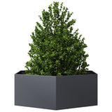 Garden Planter Anthracite Hexagon 138x120x45 cm Steel - Side View