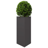 Garden Planter Black Triangular 40x34.5x70 cm Steel - Side View