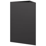 Garden Planter Black Triangular 50x43x75 cm Steel - Rear View