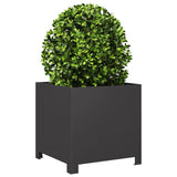 Garden Planters 2 pcs Black 40x40x40 cm Steel - Top-Down View