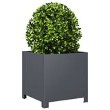 Garden Planters 2 pcs Anthracite 40x40x40 cm Steel - Top-Down View