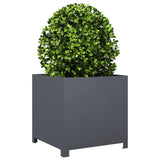 Garden Planter Anthracite 50x50x50 cm Steel - Side View