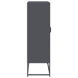 Highboard Anthracite 68x39x123 cm Steel - Close-Up Angle
