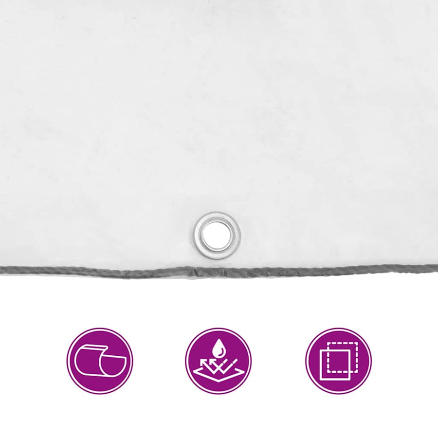 Clear Tarpaulin with Eyelets 3x8 m Polyethylene