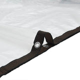 Clear Tarpaulin with Eyelets 2x3 m Polyethylene - Low Angle