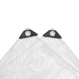 Clear Tarpaulin with Eyelets 3x3 m PVC - Rear View