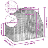 Chicken Run 2.5x2x2.25 m Galvanised Steel