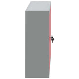 Tool Cabinet with Shelf Red and Grey 100 x 20 x 55 cm Steel