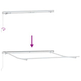 Retractable Awning Beige 300 x 250 x 165 cm - 45-Degree Angle