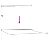 Retractable Awning Beige 300 x 250 x 165 cm