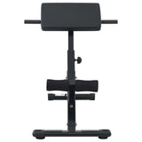 Hyperextension Bench Manual Black 100.5 x 70 x 78 cm