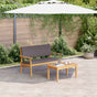 Garden Sofa Set 2 pcs Anthracite Solid Acacia Wood
