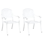 Garden Chair 2 pcs White Aluminium