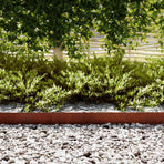 Lawn Edging 20 pcs 100 x 0.05 x 20 cm Rusty