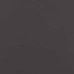 Lawn Edging 20 pcs 100 x 0.05 x 30 cm Cold Rolled Steel Black