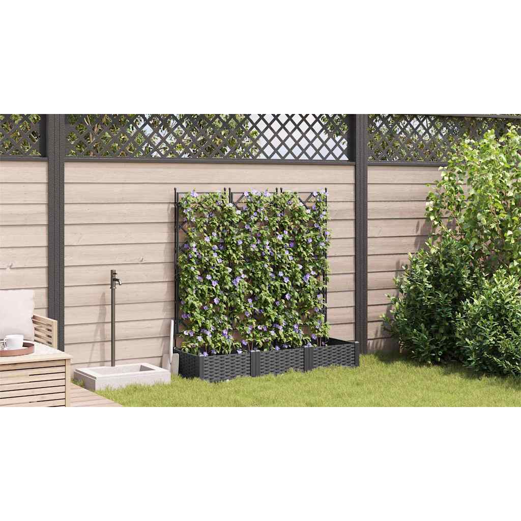 Garden Planter with Trellis 3 pcs Black 120 x 40 x 125.5 cm PP