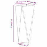 Planter 2 pcs Black 30 x 30 x 75 cm Steel