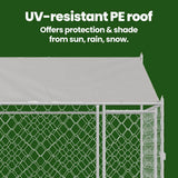 Dog Cage with Roof Silver 200 x 200 x 258 cm Steel and PE