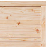 Barn Door Natural 100 x 208 cm Solid Pine wood - Close-Up Angle