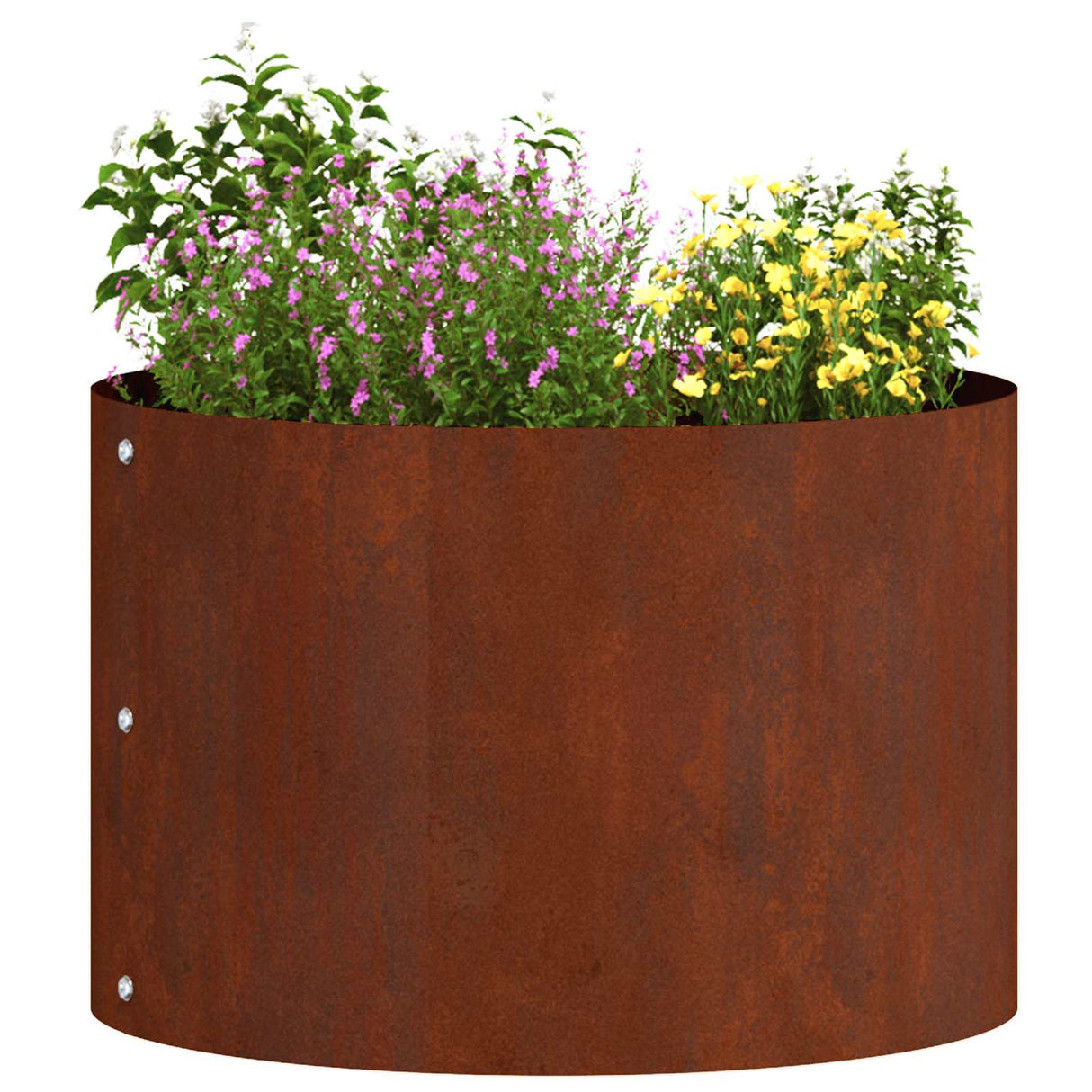 Planter Ring 5 pcs Brown 30 x 30 x 20 cm Weathering Steel