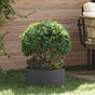 Planter Ring Black 40 x 40 x 20 cm Cold-rolled Steel