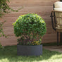 Planter Ring Anthracite 40 x 40 x 20 cm Cold-rolled Steel