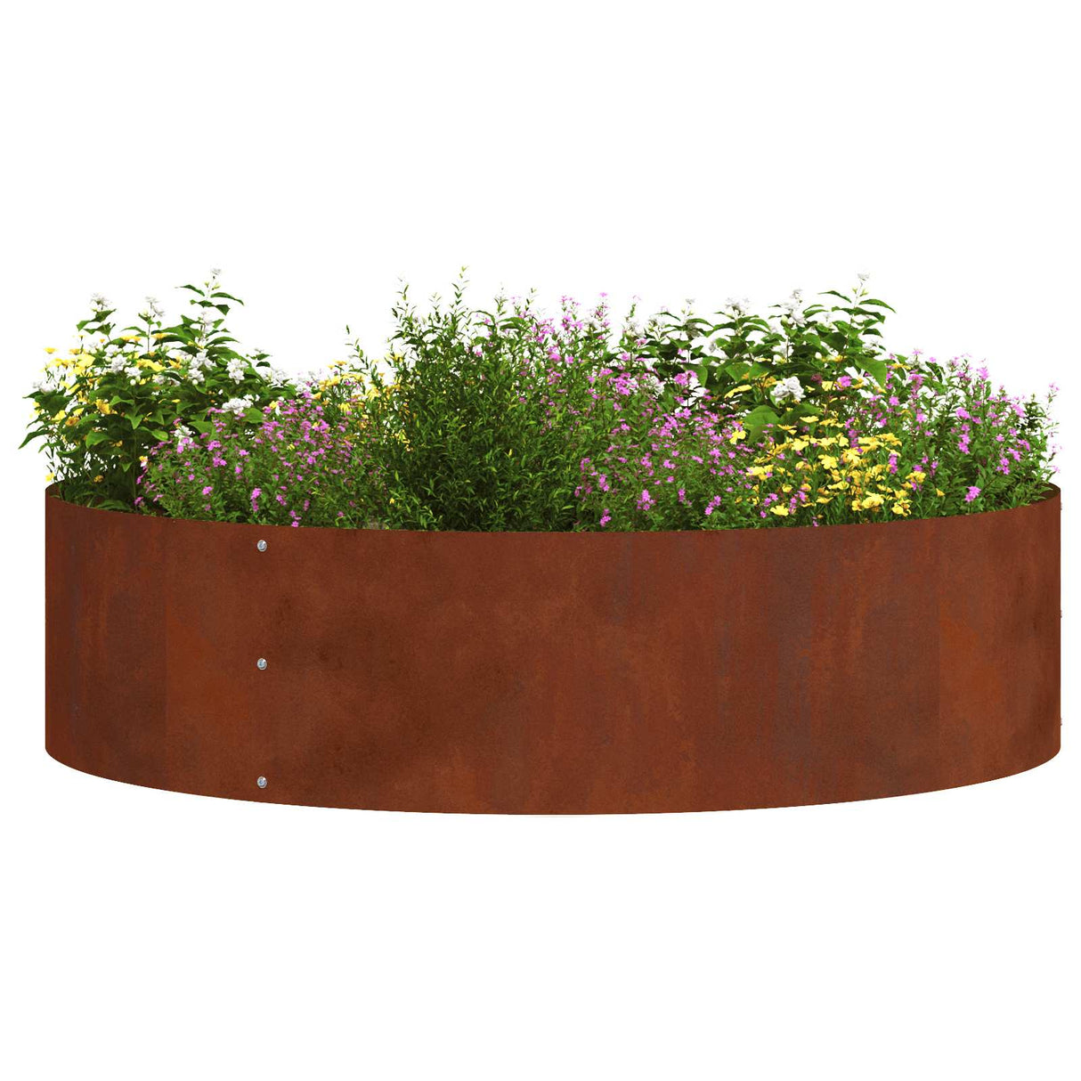 Planter Ring 5 pcs Brown 80 x 80 x 20 cm Weathering Steel