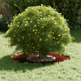 suitable for Flat Tree Rings 5 pcs Brown Ø30 / 60 cm - Side View