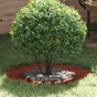 suitable for Flat Tree Rings 5 pcs Rusty Ø40/70 cm
