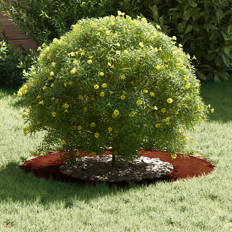 suitable for Flat Tree Rings 5 pcs Rusty Ø40/70 cm