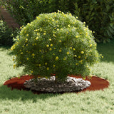 suitable for Flat Tree Rings 5 pcs Brown Ø50 / 80 cm - Side View