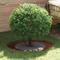 suitable for Flat Tree Ring Rusty Ø60/90 cm