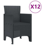 Garden Dining Set 13 pcs Anthracite Plastic - 45-Degree Angle