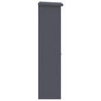 Parcel Drop Box with Door Anthracite 44,5 x 29 x 110,5 cm Steel