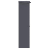 Parcel Drop Box with Door Anthracite 44,5 x 29 x 110,5 cm Steel - Rear View