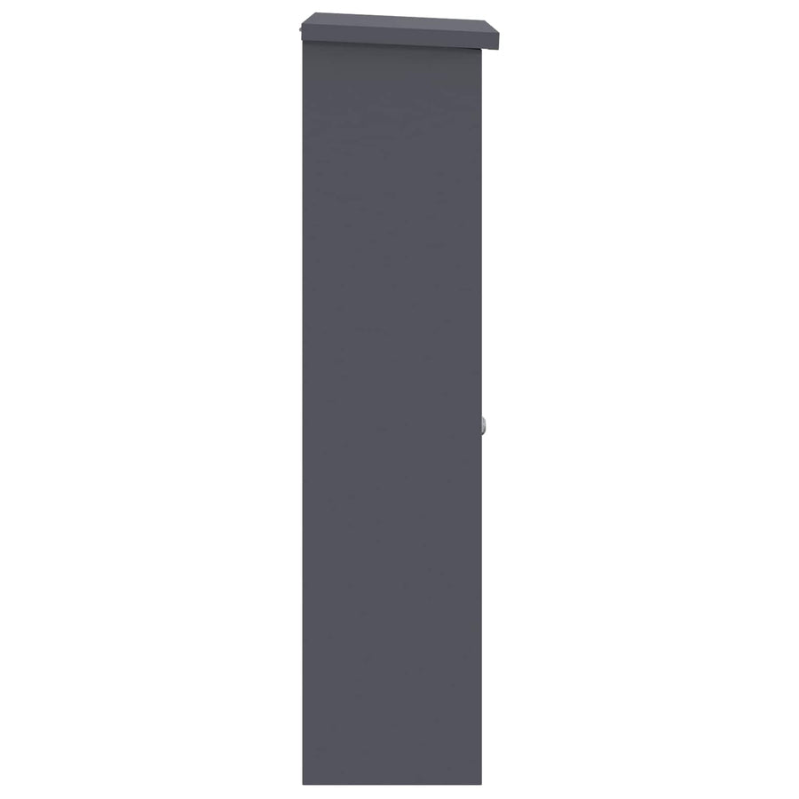 Parcel Drop Box with Door Anthracite 44,5 x 29 x 110,5 cm Steel