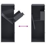 Parcel Drop Box with Storage Anthracite 41 x 38 x 103 cm Steel