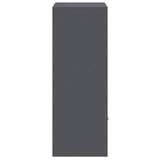 Parcel Drop Box with Storage Anthracite 41 x 38 x 103 cm Steel