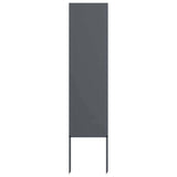 Garden Privacy Screen Anthracite 32 x 140 cm Cold-rolled steel